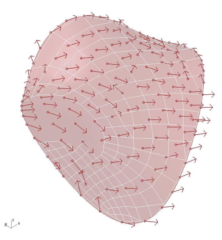 A surface remeshed into a quad-dominant mesh aligned to an integrated vector field with Capybara