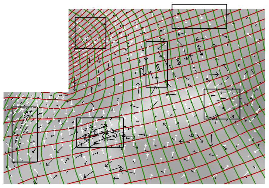 The grid with the vectors chosen to guide it, shown in the black boxes