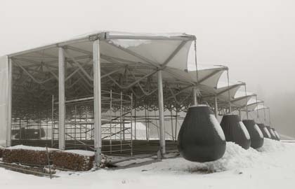 The reciprocal roof sheltering the archaeological site at Bibracte, by RFR and TESS, one of the built examples the paper starts from